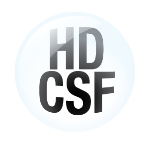 hdcsf-logo-for-light-background-300
